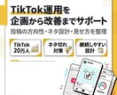 TikTok運用を企画・投稿設計改善サポートします TikTok動画12本＋設計伴走｜少数精鋭で長期支援します イメージ1