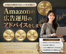 Amazonの広告費、ちゃんと売上に変えます 単発OK！Amazon広告運用のアドバイスをします。 イメージ1