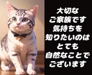 大切なペットちゃんの気持ちをお伝えします 病気や天国への導きにも対応。どんなことにも寄り添います。 イメージ2