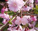 オーラカラー鑑定します 貴方の持っている原石(自分)☆再確認‼️テンションUP イメージ3
