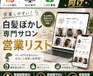 営業しやすい白髪ぼかし専門サロンリストを売ります インスタ運用・Web制作・LINE構築向け厳選リスト① イメージ1