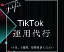 TikTok 完全手動にて運用代行致します 基本的には完全手動　お客様のニーズに全力で応えます イメージ1