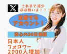 X(エックス)日本人フォロワー2000人増加します 懸賞垢でないアクティブユーザーの日本人アカがフォローします イメージ1