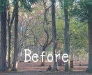 あなたの画像修正(編集)します 撮影失敗やお気に入りの写真をより輝かせます！ イメージ1