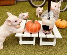 貴方の愚痴、悩み、はい！私がききます 暇なんです〜でもOK！今、イラッ！っとしてます。でもOK！ イメージ2
