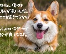 最近会話してない、社会から孤立してる気分になります 『誰かと繋がりたい、本音で話したい』お気持ちに寄り添います イメージ4