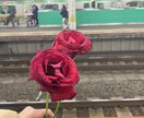 英→日、すてきな日本語にします 「言葉」が好きです。英日訳も、すてきな言葉にします。 イメージ1