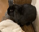 現役学生が下の目線から相談のります 買ってよかった。また話してたい。そう思えるよう努めます イメージ2