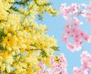 あなたの心に寄り添い鑑定します 占いをはじめ、意識に入る映像や言葉でこたえを導き出します イメージ6