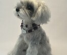 羊毛フェルトで作るリアルな犬の制作方法になります 愛犬さんを羊毛フェルトで作ってみませんか？ イメージ9