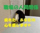 職場の人間関係専門☘悩んでいるあなたの心を癒します 職場でのモヤモヤ溜めずに吐き出して☘身軽になりませんか？ イメージ2