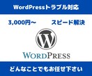 WordPressのエラーやトラブル解決します 現役WEBエンジニアが3,000円～で迅速に解決いたします イメージ1