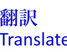 英語の映像や文章を日本語に翻訳します 辞書いらず！英⇄日翻訳・国際的アンケート集計ならおまかせ！ イメージ1