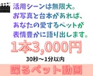 驚きと感動！ペットが喋るサプライズ動画制作します 写真と台本だけ。大切なペットが表情豊かにメッセージを届けます イメージ4