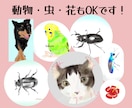 SNS・Xで使えるゆるふわアイコン描きます 選べる・タッチ色塗りでKindle出版にもかわいいアイコンを イメージ10
