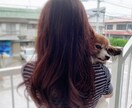 女性専用｜眠れない夜・愚痴・不安を優しく聞きます いろいろ経験してきた私に何でも聴かせて下さい イメージ2