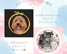 ふわふわペットのアイコンを作成します 名前に因んだオリジナルフレームが人気です♪ イメージ2