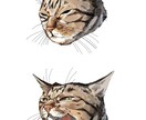 毛並みや表情まで丁寧に描き込みます 大好きな家族をイラストに！世界に一つだけの宝物。 イメージ3