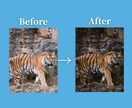 写真をお好みに加工したり、不要な人物を削除します チャットで相談しながらお客様の撮影された写真を加工します! イメージ4