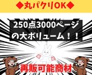 350種の副業商材！再販可！AI美女画１０枚付ます 再販可能！そのまま再販できます！ イメージ3