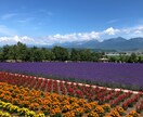 道外の人が、北海道でしかできない旅行プラン考えます 道外からの北海道の魅力を感じれるプランを作成できます。 イメージ2