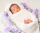 ニューボーンフォト撮影いたします 花屋さんならではの手作りのお花を使った写真を得意としています イメージ3