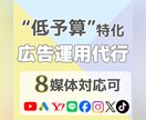 低予算でWEB広告の運用代行いたします 個人/法人OK！オプションで複数媒体の組み合わせも可能です イメージ1