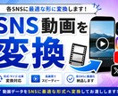 SNS動画を変換してお渡しいたします リール動画 / ショート動画 / 縦型動画 / デザイナー イメージ1