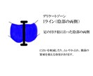 SEO対策をしたホームページ作りますます あなたの魅力をあなたのターゲット層に! イメージ9