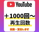 YouTube 再生回数 増やします ＋1000回〜 拡散・宣伝します イメージ1