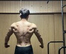 痩せたい方、筋肉をつけたい方をサポートします 実際にビデオ通話などを通して指導していきます。 イメージ1