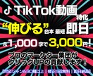 TikTok売れる台本最短即日プロが作ります マーケターが”バズる構成”を完全サポート！修正５回無料！ イメージ1