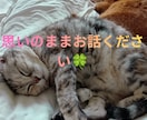 傾聴どんな些細なことでも全て受入れお聴きいたします 傾聴サービスや人生経験を活かし悩みや愚痴をお聴きします イメージ3