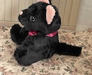 ぬいぐるみ作製いたします 可愛いぬいぐるみご依頼後制作いたします イメージ6