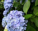 育休中主婦がお悩み（仕事、家庭、恋愛、）を聞きます どんな小さなお悩みでも気軽に話して下さい(^o^) イメージ1