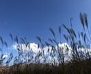 あなたの愚痴、悩みなんでも聞きます 誰でもいいから話を聞いて欲しいと思ってる人に向けて イメージ2