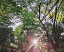 アトピーの方、ストレスの話お聴きします アトピーで入院していました。辛かったけど今はきれいです イメージ5