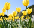 話すだけで楽になる、そんな時間を届けます 愚痴は最大の心のデトックス！出さないと溜まる、脂肪と一緒！ イメージ6