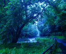 写真加工致します 撮った写真を綺麗に見やすく、興味惹かれる写真に加工致します。 イメージ2