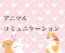 質問制限無アニマルコミュニケーションします ペットの声聞いてみませんか？亡くなったペットちゃんも イメージ1