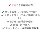 ビジネス系も対応！動画編集します 金額相談が可能です。基本的な動画編集を丁寧に仕上げます。 イメージ2