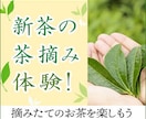 広告バナーを制作します あなたのデザインPhotoshopにてカタチに致します イメージ2