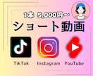 SNSに使える縦型ショート動画を編集します TikTokやインスタのリール編集を代行します！ イメージ1