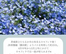 Instagramのフィード投稿画像を作成します サムネイルやフィード投稿をまるまる作成 イメージ4