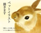 ペットのイラスト描きます 可愛らしさを残しつつ写真のようなリアルなイラスト描きます。 イメージ1