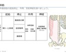 基礎が分かる作業療法士国試対策資料を提供します 骨・関節・靱帯・筋に関するOT国試対策の動画と課題ノート イメージ4