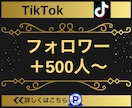 TikTokのフォロワー500人増やします 【実績3150件以上】TikTokフォロワー増加／減少保証有 イメージ1