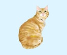 あなたの猫ちゃんを描きます 好きな猫、飼ってる猫、思い出の猫イラスト描きます！ イメージ1