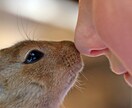 現役ヒプノセラピストがあなたの夢を応援します 叶えたい夢や目標を見つけた あなたへ イメージ1