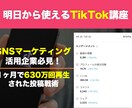 １ヶ月で630万回再生された投稿戦術教えます 現役TikTokerの投稿戦術大公開！ イメージ1